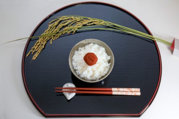 私のお箸とお茶碗・イメージ