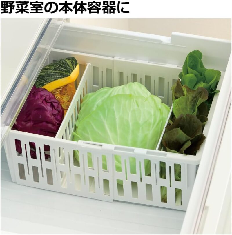 リッチェル トトノ 野菜・冷凍室用 伸縮ストッカー深型 レギュラー