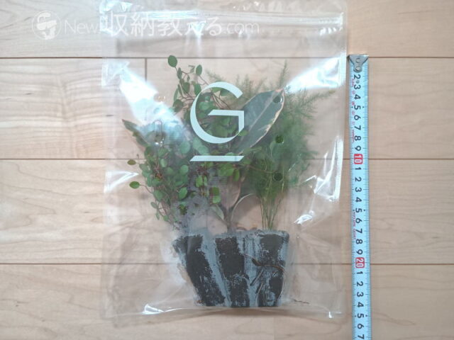 &Green／土を使わない観葉植物の全長は約24cm