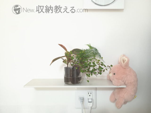 &Green／土を使わない観葉植物をウォールシェルフに飾ってみた